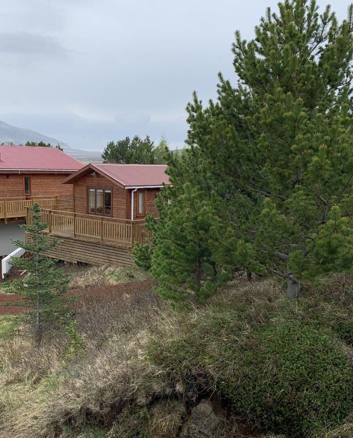 Kerhraun Cosy Cottage-Golden Circle מראה חיצוני תמונה